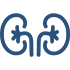 kidney