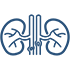 kidney3