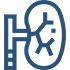 kidney5